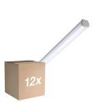 Monipakkaus 12x Philips LED Loisteputkivalaisimet Vedenkestävä WT060C 20W 2500lm - 840 Kylmä Valkoinen | 120cm