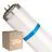 Monipakkaus 25x Philips TL-D MASTER Secura Actinic BL 15W - Blacklight | 44cm