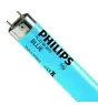 Philips MASTER TL-D 36W - Sininen | 120cm