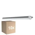 Monipakkaus 10x Ledvance LED Loisteputkivalaisimet Vedenkestävä Kosteudenkestävä Kompakti 31W 3500lm - 830 Lämmin Valkoinen | 150cm