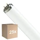 Monipakkaus 25x Philips T8 Flexo print 40W | 60cm - UVA