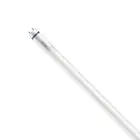 Philips Master LED Putki T8 (EM/Mains) High Output T8 7.6W 1090lm - 830 Lämmin Valkoinen | 60cm - Korvaa 18W